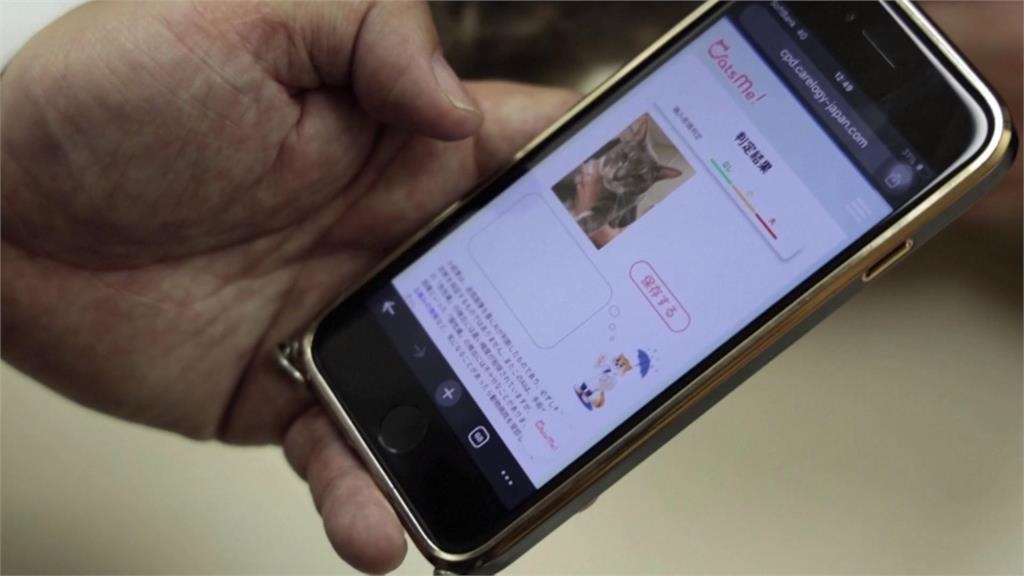 日本研發用AI分析貓咪表情　即時掌握健康狀態