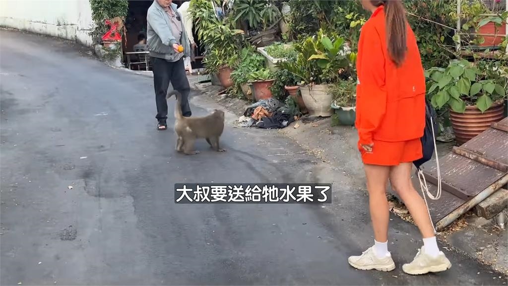 韓妞超喜歡猴子！特別遊壽山和牠比愛心合照　幸福喊：真的太可愛了