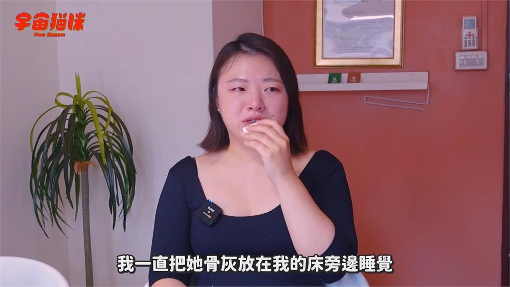 貓咪在醫院中離世!飼主自責沒早點帶牠回家 寵物溝通師1話讓她大哭