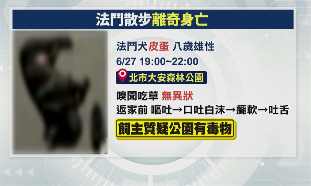 大安森林公園散步法鬥突死亡 飼主悲痛懷疑草地有毒