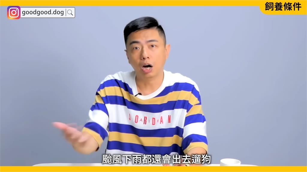 你是適合的主人嗎？專家解析寵物柴犬特性　「颳風下雨都要遛狗」勸：三思