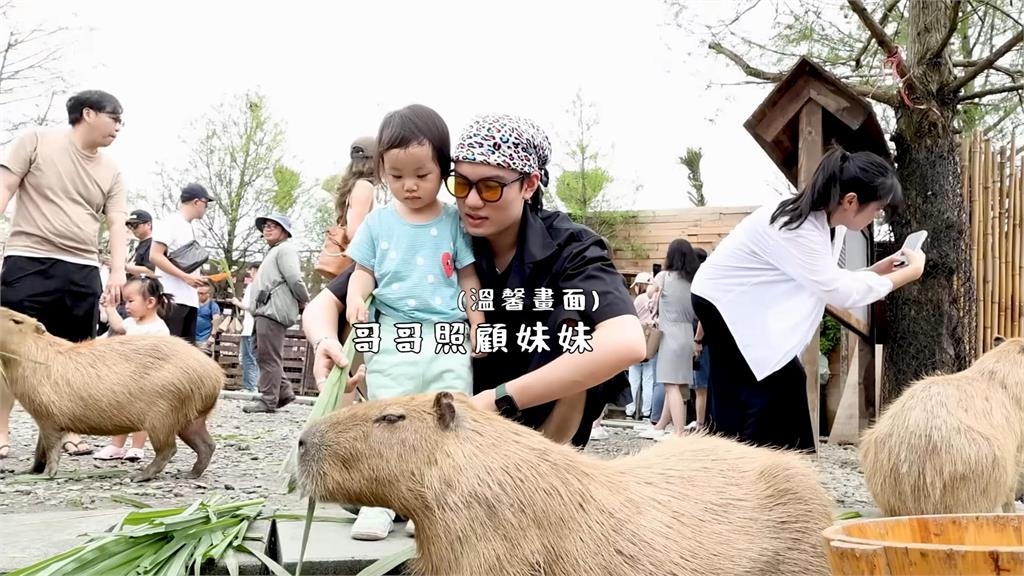 趙小僑帶女兒出遊餵水豚「9鮮肉守護」 典典寶寶首簽名網讚:比我好看