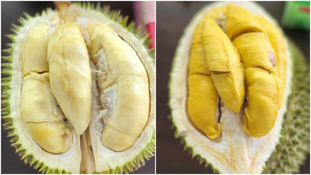 新加坡機場超香豆腐妹「張大嘴塞榴槤」竟是陳美鳳!「0顧忌模樣」網瞪眼:好愛…