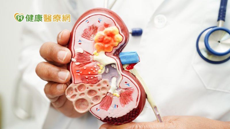慢性腎病治療關鍵北榮、台大找到了! 抑制2蛋白質表現有望延緩洗腎 慢性腎病治療關鍵北榮、台大找到了! 抑制2蛋白質表現有望延緩洗腎