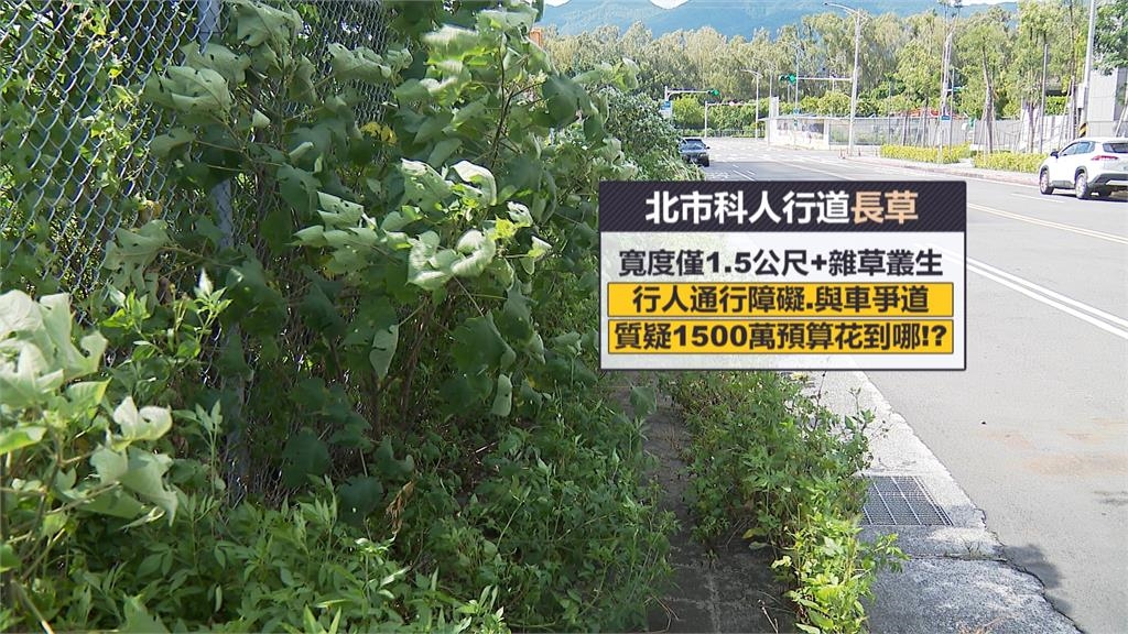 北士科竟成「都市叢林」 人行道佈滿雜草影響行人通行