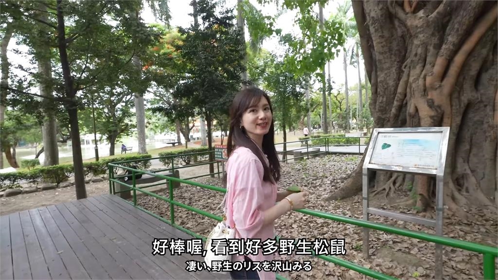 台日緣分好深!她到台南賞日治時期這物 當地人稱長知識了:我都不知道