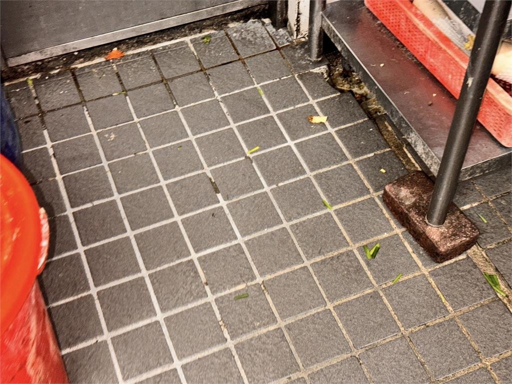 想吐了!老字號金仙魯肉飯被檢舉 配菜裡有一整隻小強