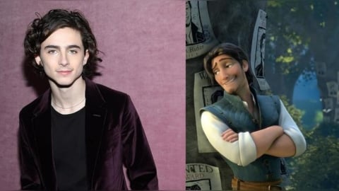 網路盛傳《魔髮奇緣》將拍真人版? 配音欽點甜茶演男主角