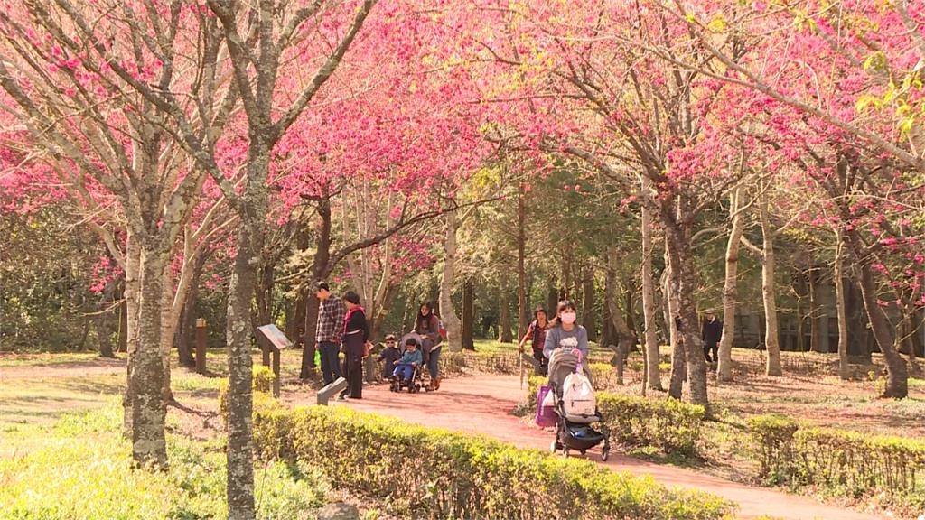 快新聞/凱米預計2330發海警! 明起全台旅遊景點、活動暫停一次看