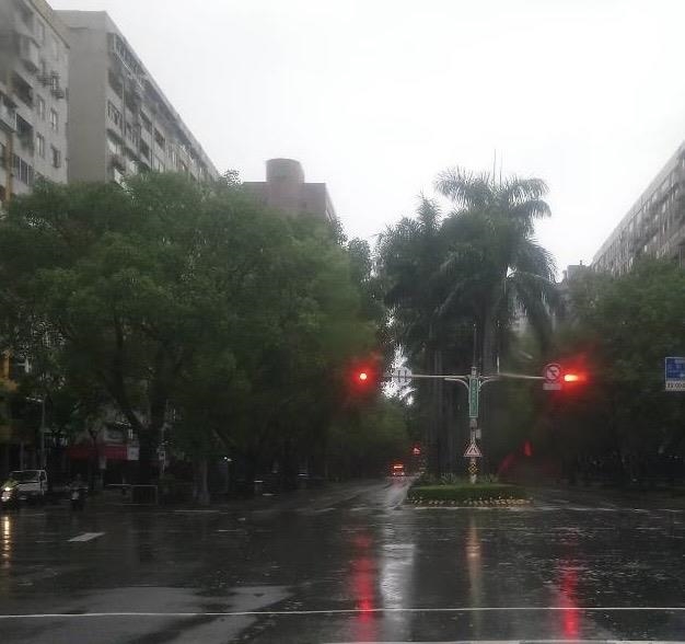 快新聞／網傳北市仁愛路整排路樹倒　北市府澄清：假的！蘇迪勒舊照