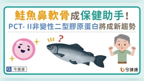 鮭魚鼻軟骨成保健助手！PCT- II非變性二型膠原蛋白將成新趨勢