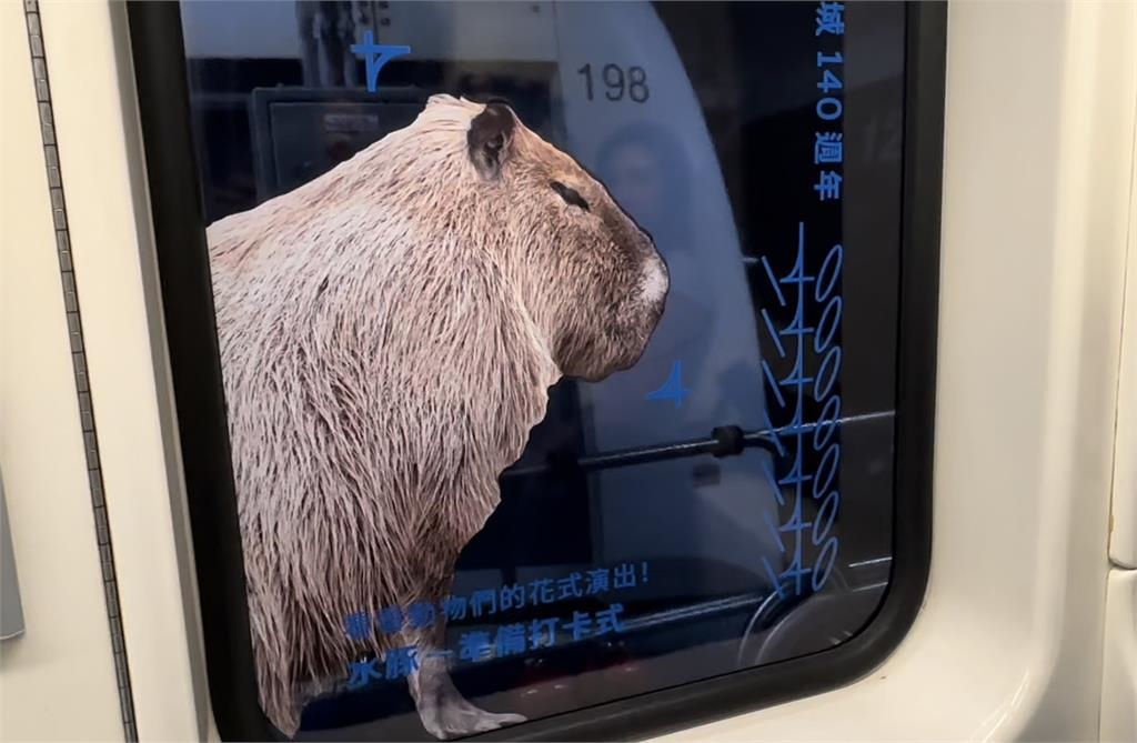 台北市立動物園歡慶110週年! 打造超萌動物主題車窗