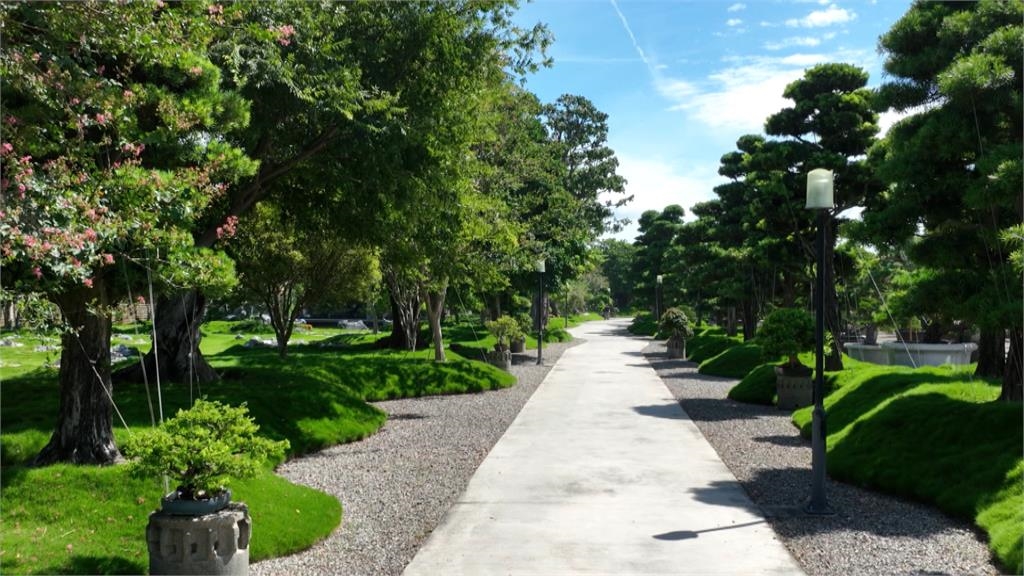 建設公司董座「祕密花園」 北斗祕境白鵝悠游如世外桃源