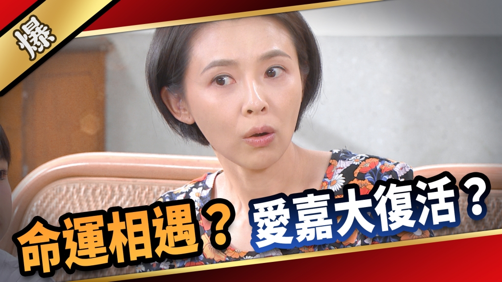 《愛的榮耀-EP202精采片段》命運相遇？ 愛嘉大復活？ 