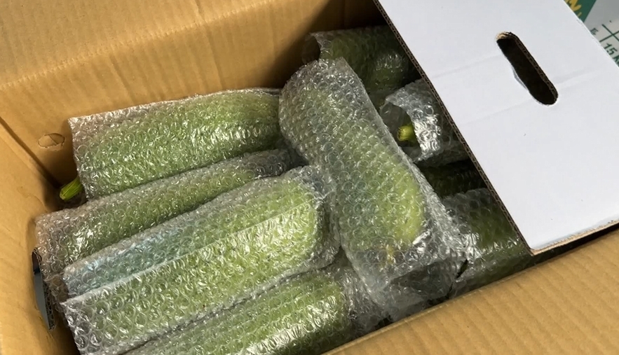 這裡絲瓜「1條賣到180」! 農民無奈吐天價原因