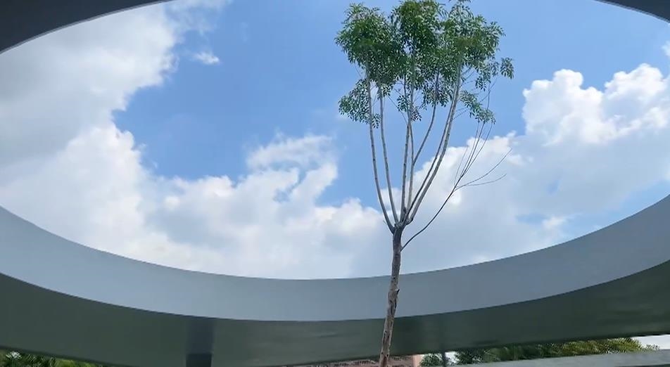 舊社停車場「圓型天井」爆紅 無法複製的畫作!圈住藍天綠樹如畫框