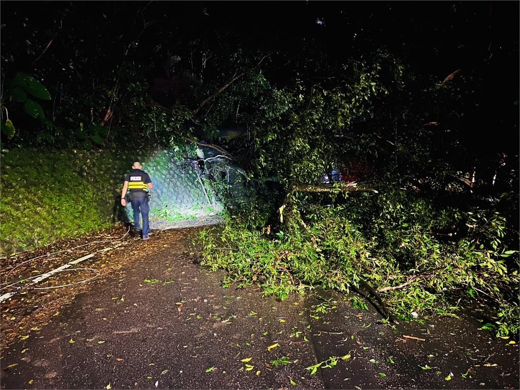 快新聞/大雨釀禍?北市文化大學後山路樹倒塌 交通中斷受阻