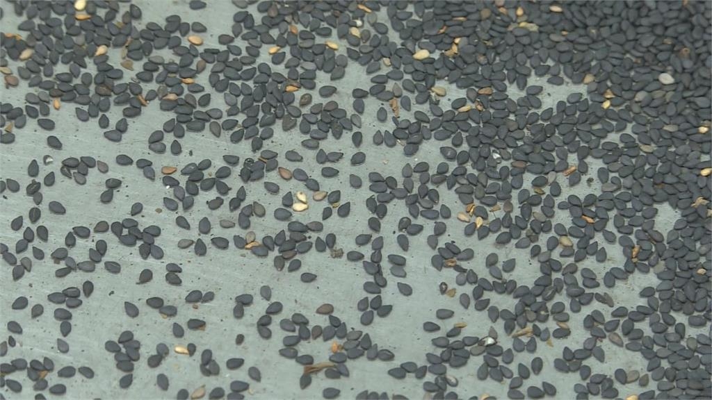 暴雨狂襲台南胡麻田　本土產芝麻.麻油產量恐告急