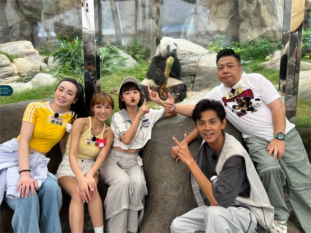 企鵝是南極界的董至成!企鵝走路時有事沒事就會假摔一下