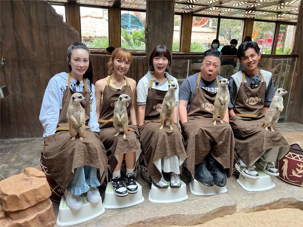 企鵝是南極界的董至成!企鵝走路時有事沒事就會假摔一下