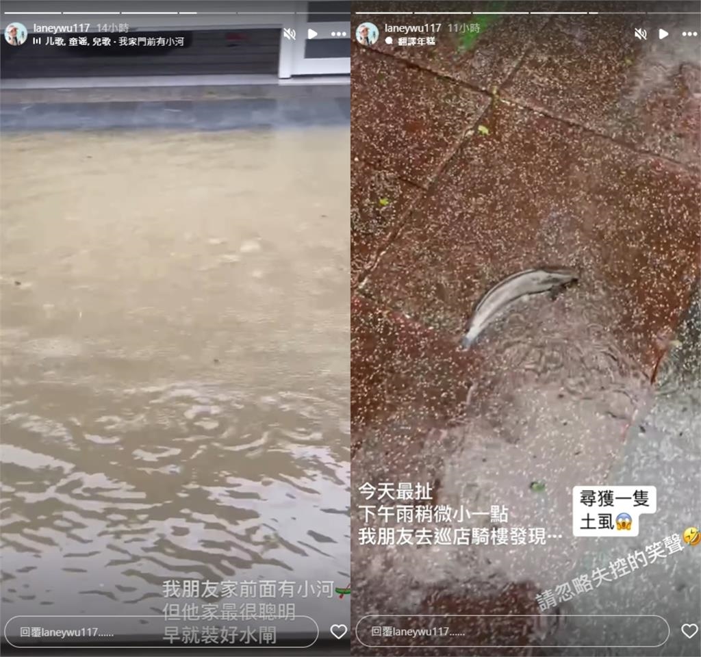 《五燈獎》女星曝高雄災情!樓梯瀑布、門前小河...市區驚現「這1物」