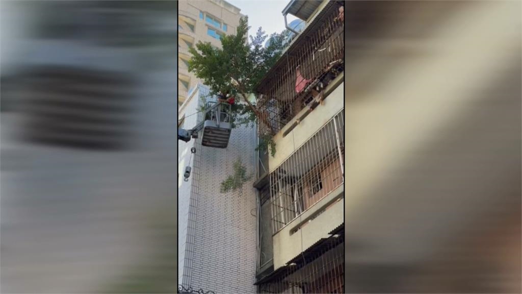 新崛江附近頂樓加蓋還曾長出樹 風災過後危機重重