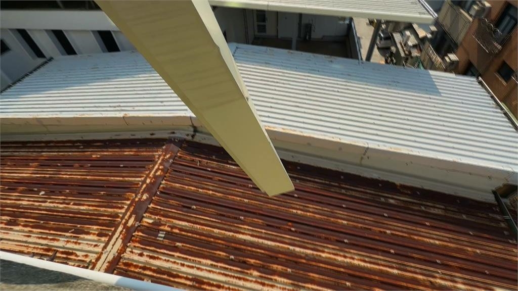 新崛江附近頂樓加蓋還曾長出樹 風災過後危機重重