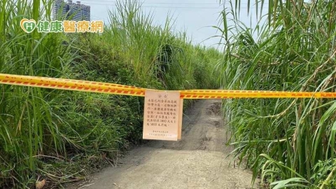 北市首例登革熱病毒定序出爐!與新北群聚一致 在文山區某菜園查出病媒蚊