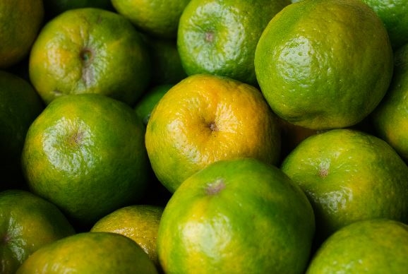 關子嶺酒柑心週六(9)登場 黃偉哲:爬山健行吃椪柑喝調酒