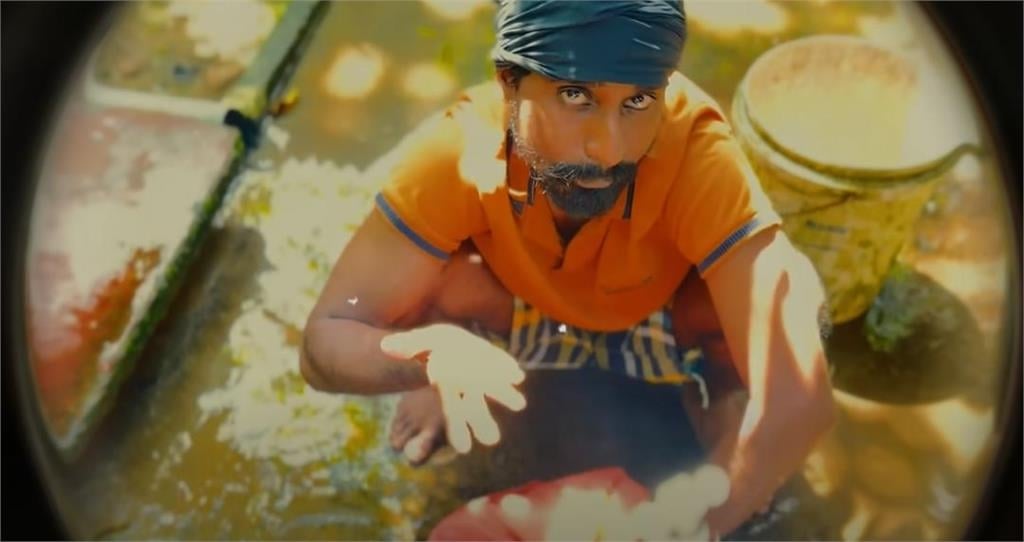 斯里蘭卡YTR拍魔性《APT.》！印度曲風全網崩潰：聽了忘記原唱