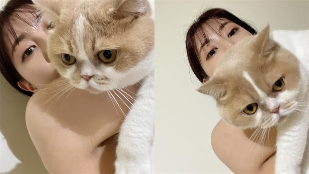 阿部瑪利亞曬貓驚洩身影「找不到上衣布料」!16萬粉猛放大嚇壞:沒穿