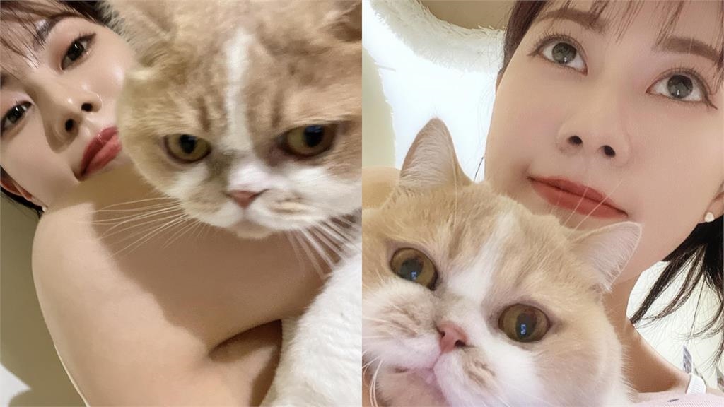 阿部瑪利亞曬貓驚洩身影「找不到上衣布料」!16萬粉猛放大嚇壞:沒穿