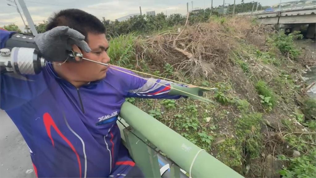 綠鬣蜥氾濫出現野外繁殖族群 「獵龍高手」抓不勝抓