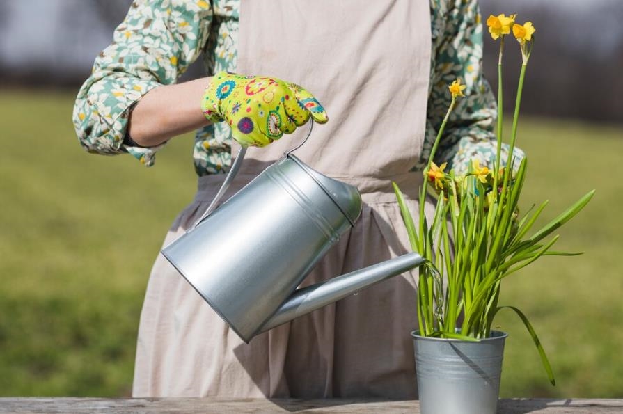 「小雪」迎貴人!命理老師曝開運小妙招「一杯水趕走小人」好運上門