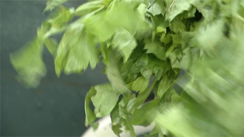 食難安! 香菜農藥殘留檢測12件僅1件合格 還檢出禁用藥物