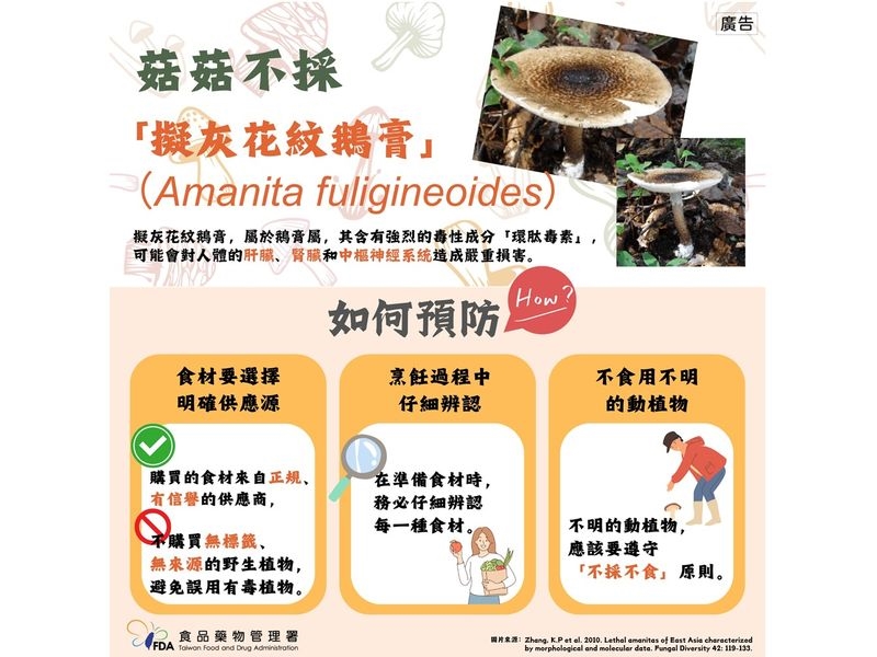 野生菇類別亂摘!食藥署示警「這2種毒菇」常被誤食 傷害遍及全身