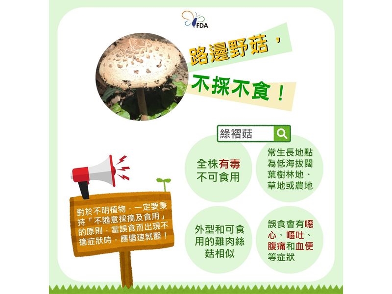 野生菇類別亂摘!食藥署示警「這2種毒菇」常被誤食 傷害遍及全身