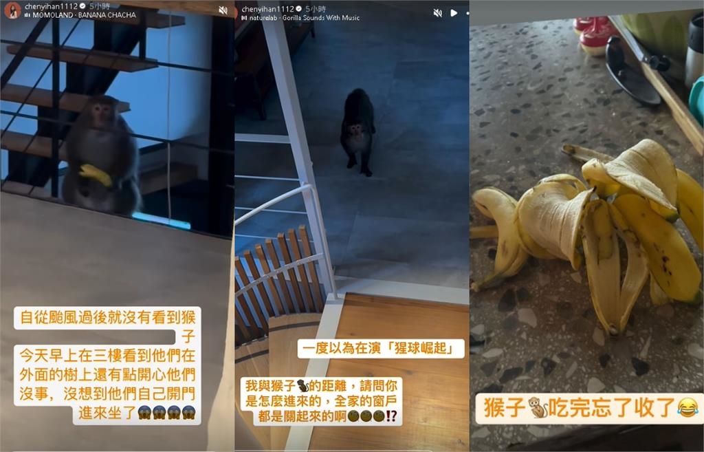 陳意涵豪宅「突闖不速之客」驚嚇片曝！亂丟香蕉皮「正面對決」：怎麼進來？