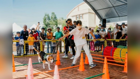 動保與農村文化融合！臺南動保市集溫馨登場 毛孩與飼主共度愉快時光