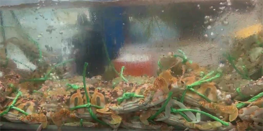 金山吃花蟹「4隻破6千元」 民眾PO文問:真有這麼貴?