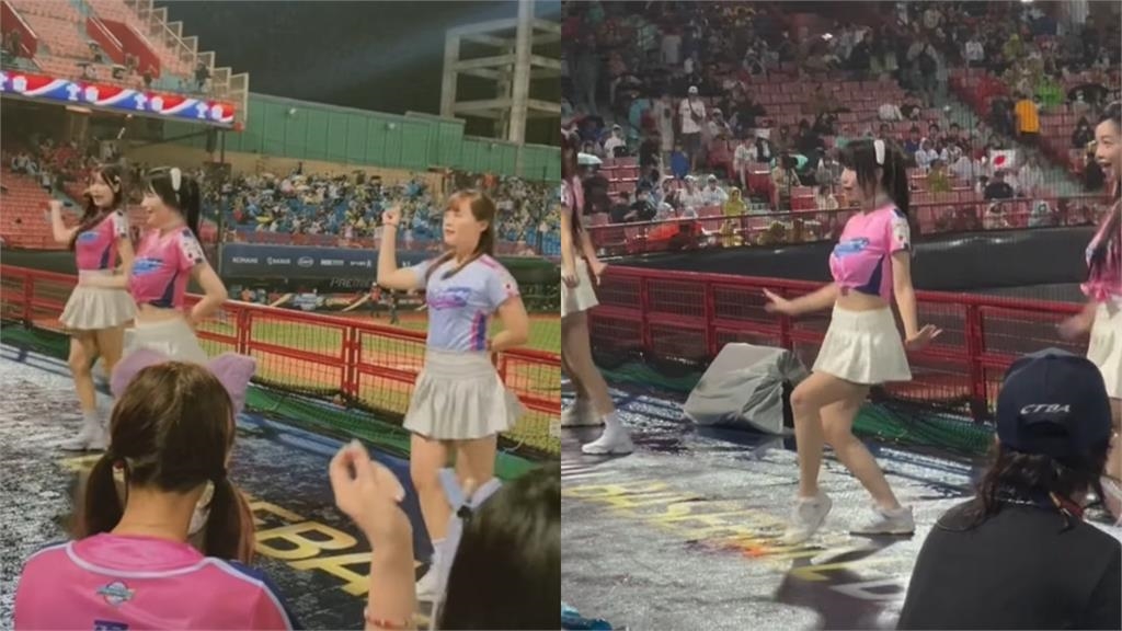 12強賽／台灣啦啦隊「全身濕」仍雨中熱舞！敬業畫面曝…感動一票日本球迷