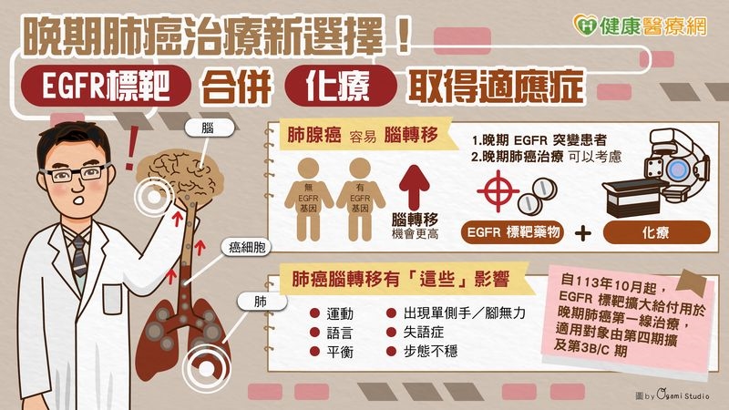 晚期肺癌治療新選擇!EGFR標靶合併化療取得適應症