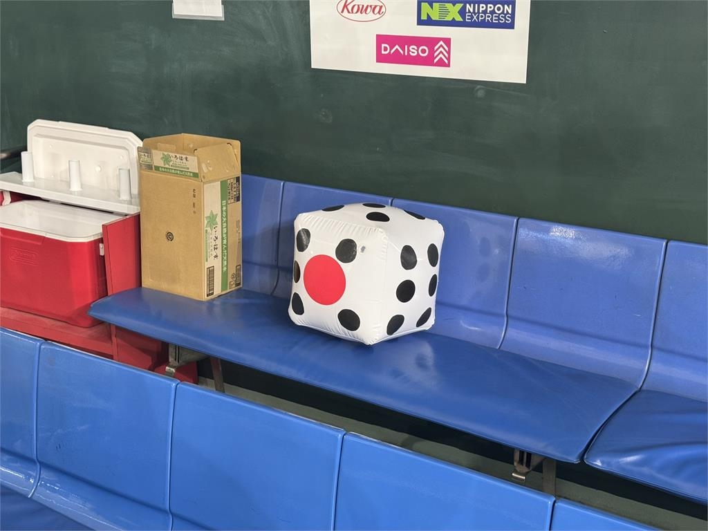 12強賽(影)／台美大戰將登場！台灣隊註定「骰到6」　球迷、職員送好運加持