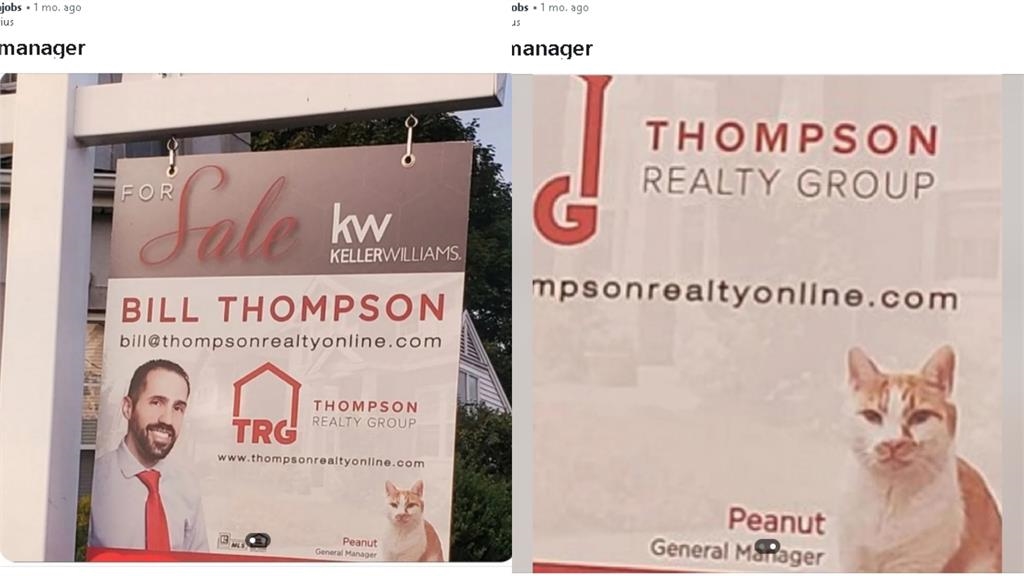 美國路邊驚見「奇特」廣告看板!他細看嚇一跳…公司總經理竟是「喵星人」