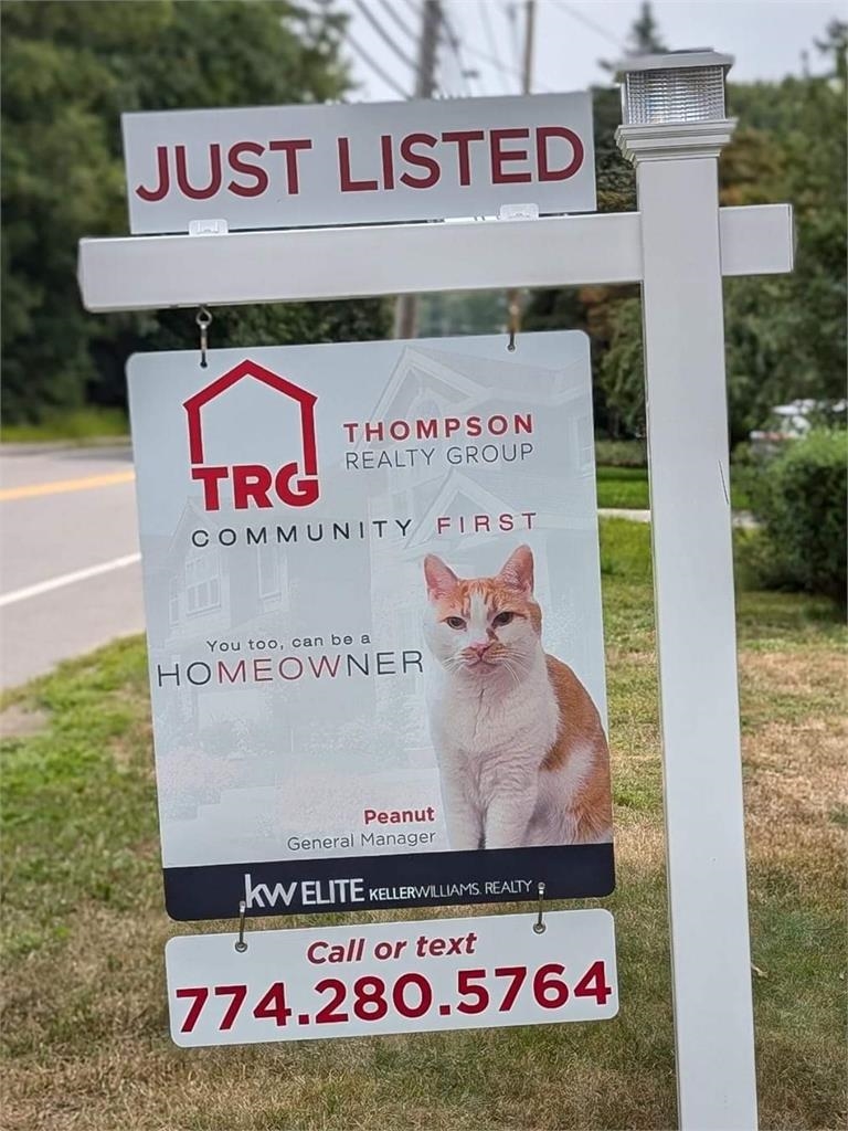 美國路邊驚見「奇特」廣告看板!他細看嚇一跳…公司總經理竟是「喵星人」