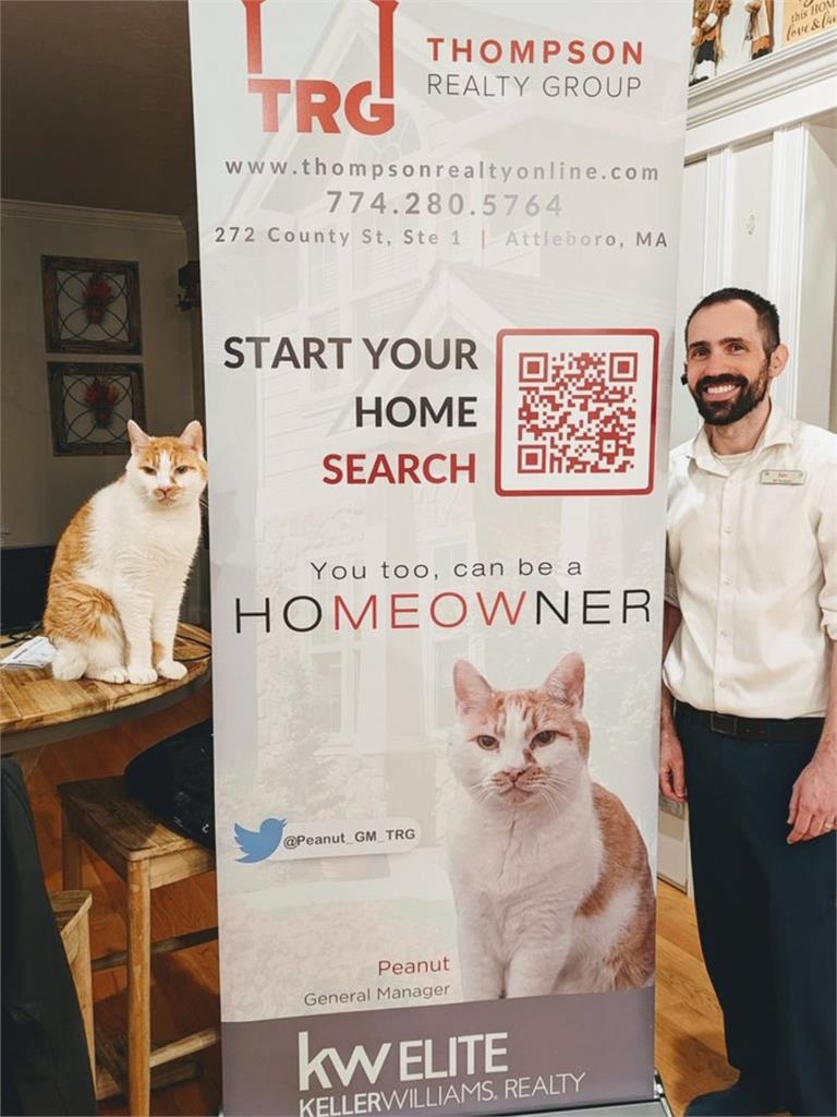 美國路邊驚見「奇特」廣告看板!他細看嚇一跳…公司總經理竟是「喵星人」