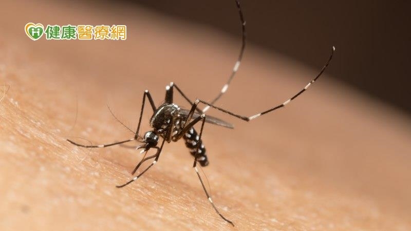 天氣變冷仍要注意登革熱！　高雄出現入秋後首例本土病例