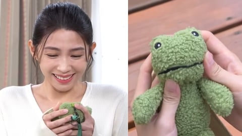 曾子益、曾智希《愛的榮耀》定情物「小青蛙」爆紅!狂被問哪裡買 他親回應