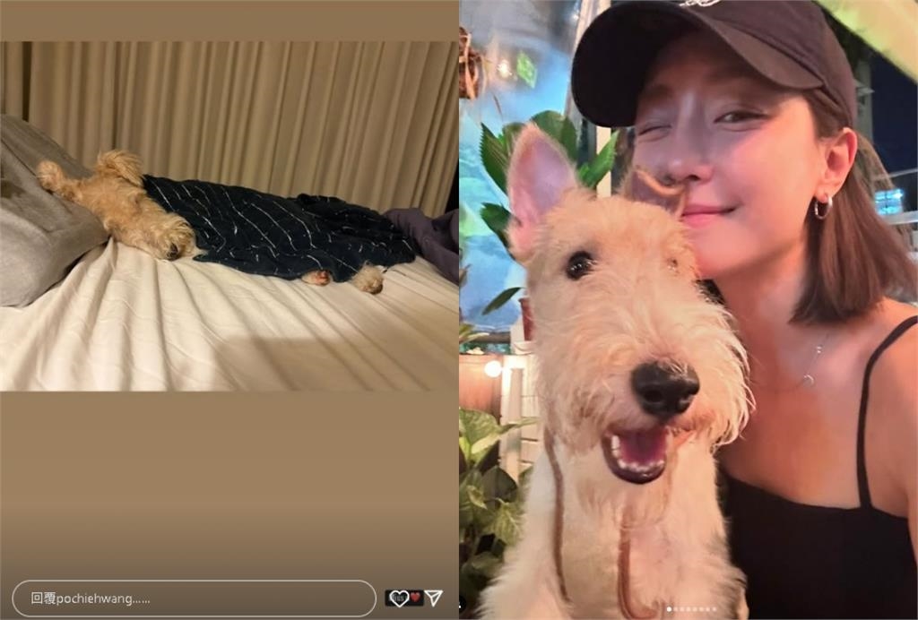 王柏傑、謝欣穎爆「掰了3年姐弟戀」!女方搬離同居愛巢…他突發聲:想你