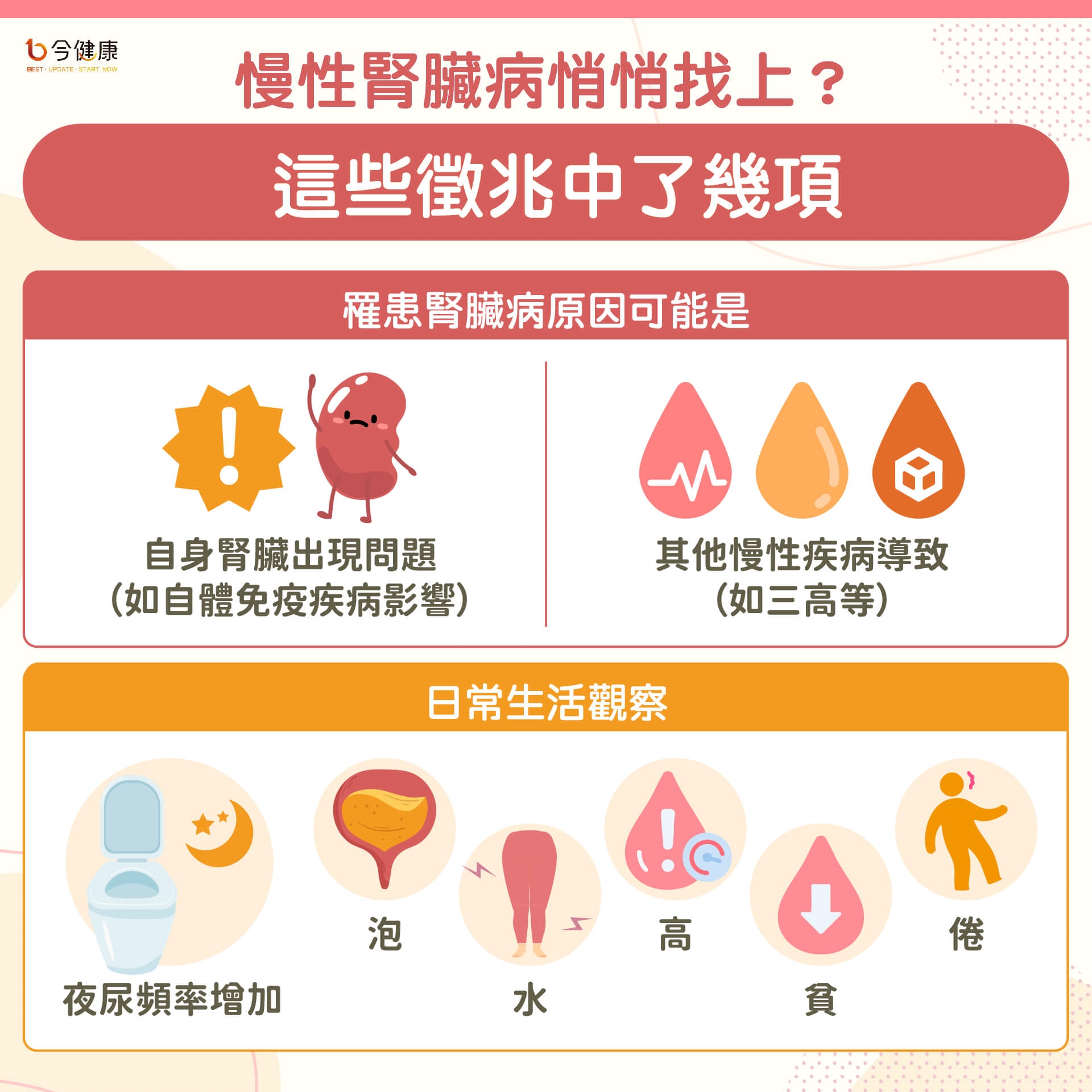 夜尿變多恐是腎臟拉警報?四低飲食+酮酸胺基酸有機會延緩腎臟病惡化!